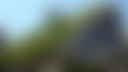 Noticias de interés (I)