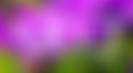 CCCI’s Spring 2026 Conference: AI, Cats, Healthcare, and More! 