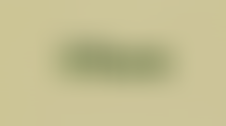 President’s Update