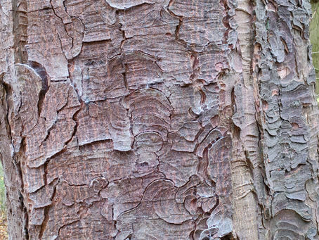 Stress - Feel Good Norfolk article for the Eastern Daily Press