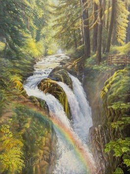 Olympic National Park,
Sol Duc Falls