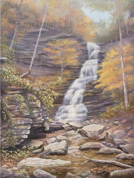 Cathedral Falls WV, Waterfalls, Fall Scene