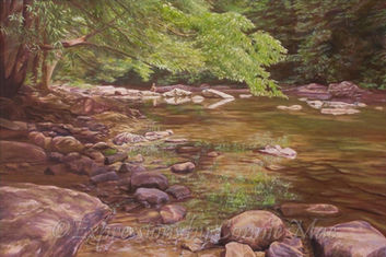 Calm River fishing, Audra State Park, West Virginia
