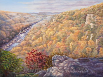 Mountain Landscape with River, Gauley River, West Virginia, Sweets Falls Rapids
Sweets Falls, Gauley River, WV