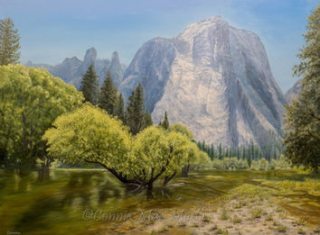 Yosemite National Park