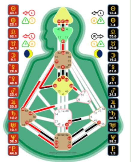 quantum human design natal chart, 4/1 profile. projector.
