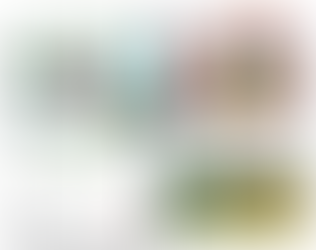 Dominare o Custodire?