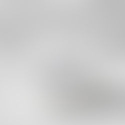 Projet : KL institut