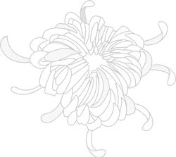 Flower Outline _edited_edited.png