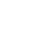 megaphone (1).png