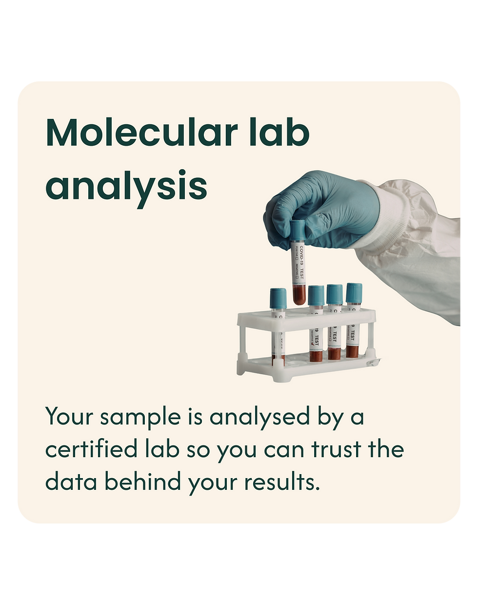 Corporate Longevity Web Assets (52).png