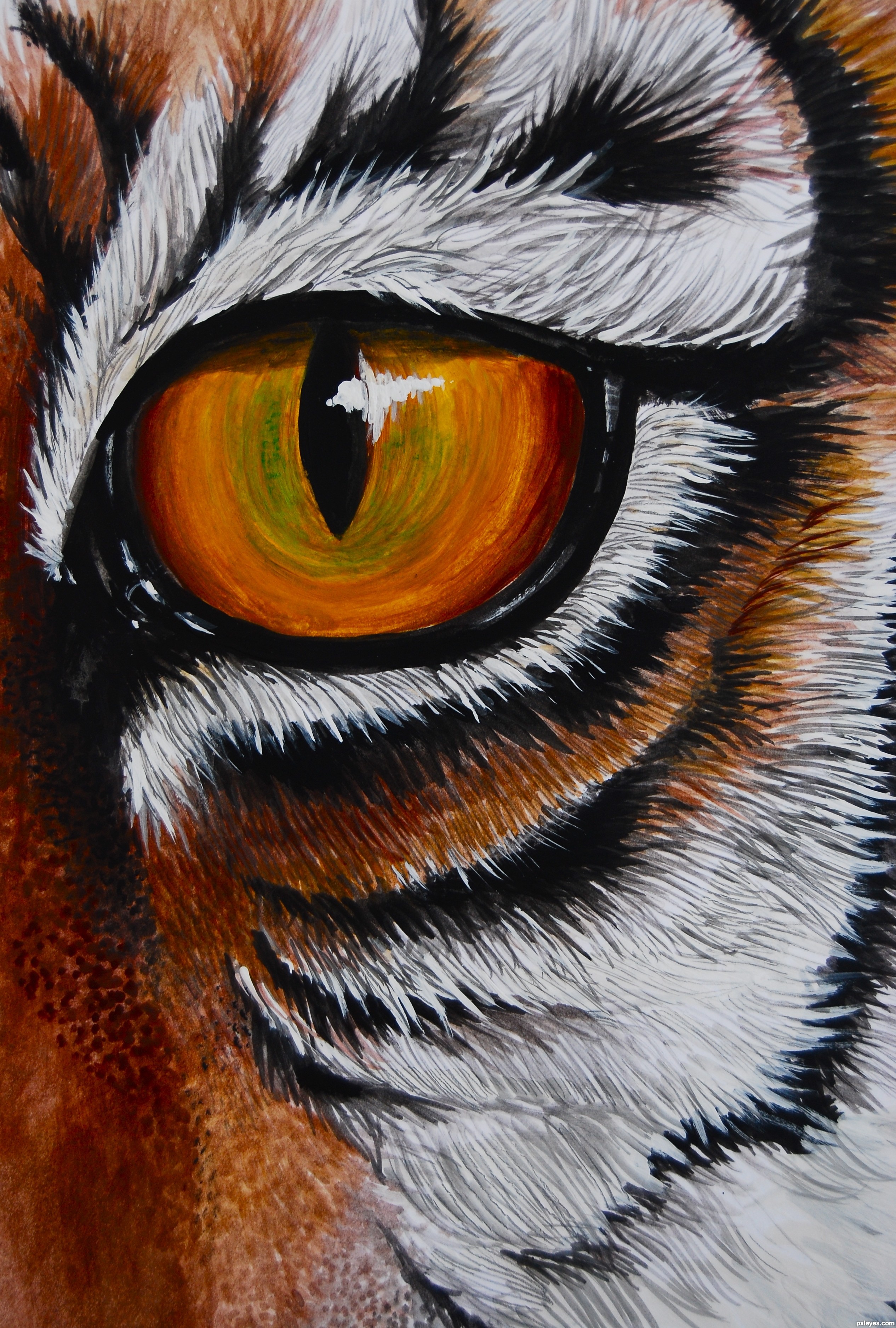 Eye of the Tiger