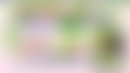  【枝元先生アーカイブ配信】2024年度長寿社会福祉事業オンラインセミナーを公開いたしました。