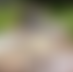 two babies on play mat outside in nature