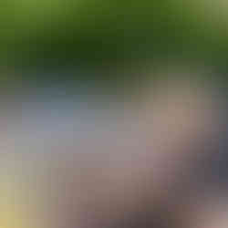 toddler opening barn doors on play mat