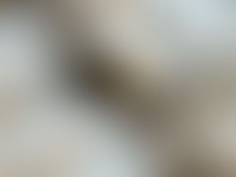 Pudra şekeri serpilmiş, elmalı cevizli tarçınlı ev yapımı kurabiyeler; fırın tepsisinde sıralanmış halde.