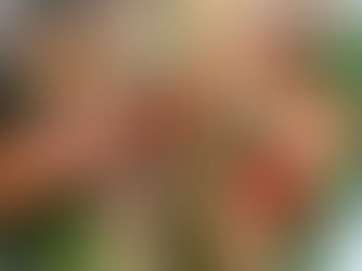 Ispanaklı Mercimekli ve Hellim Peynirli Salata