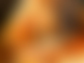 Tek tavada lor peynirli lazanya, üzerinde altın rengi erimiş mozzarella ile sıcak servis ediliyor.