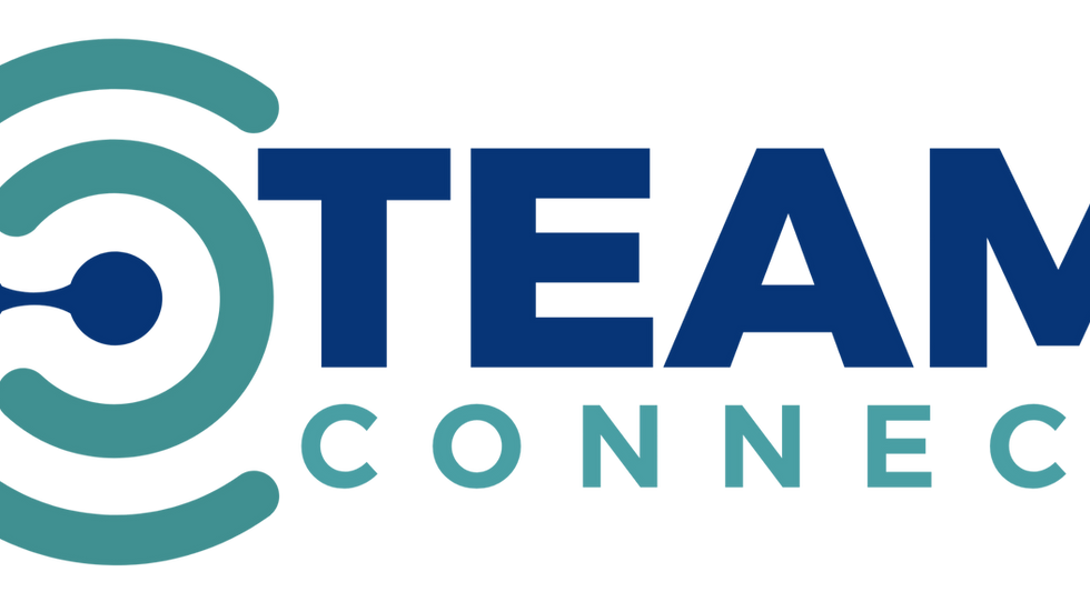 TEAM Connect - TEAM Model Perspectives