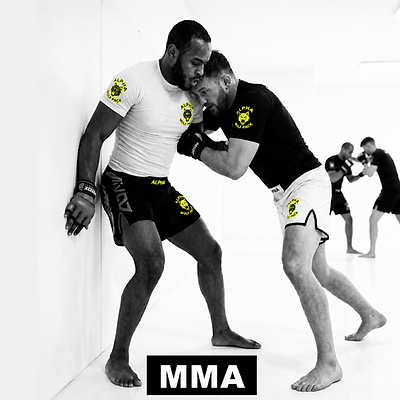 MMA Artes Marciales Mixtas Lugo