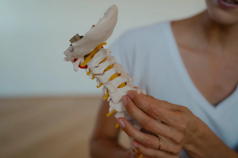 Medical Yoga Online Kurs | Spiraldynamik & Ergotherapie