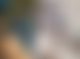 Tausende österreichische Kühe verschwunden – Sie sollten Milchkuh-Herden in Algerien bilden