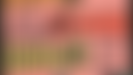 The Eradicats estrena Best In Show: un EP lleno de un mundo de excentrico humor