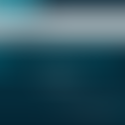 Planner Tankcontainers