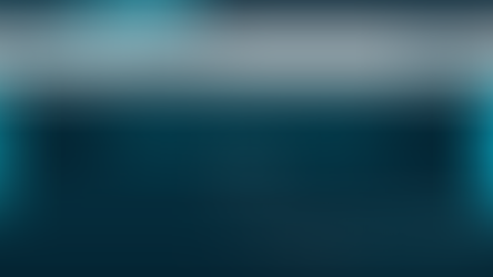 Digital Solutions Expert