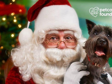 Pet Pictures with Santa Paws at Petco!