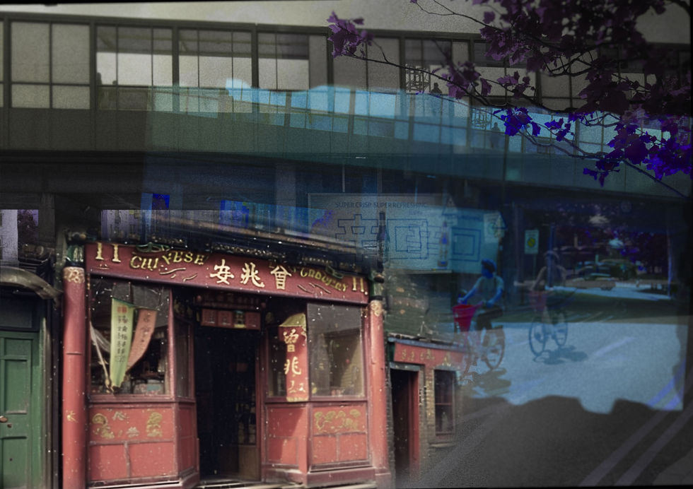 A Chinese Grocery Store, 11 Limehouse Causeway