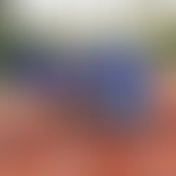 BvV Pup-Min Jongens: samen met onze meisjes naar de finale!