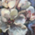 fullsizeoutput_b698