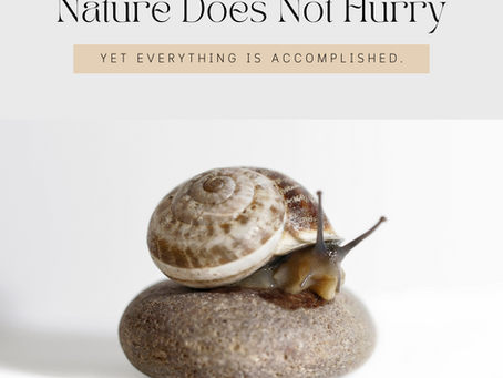 A snail on a rock with the text Nature Does Not Hurry Yet Everything Is Accomplished.
