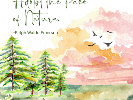 Adopt the Pace of Nature – Practicing Patience with Mindful Eating