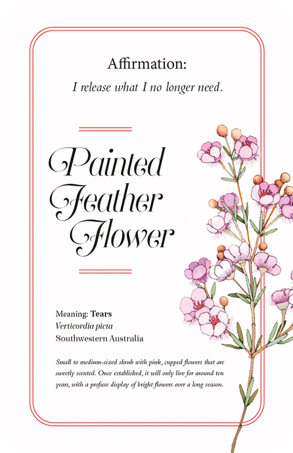 Thumbnail: Be Your Own Wildflower Affirmation Oracle Deck by Harper by Design