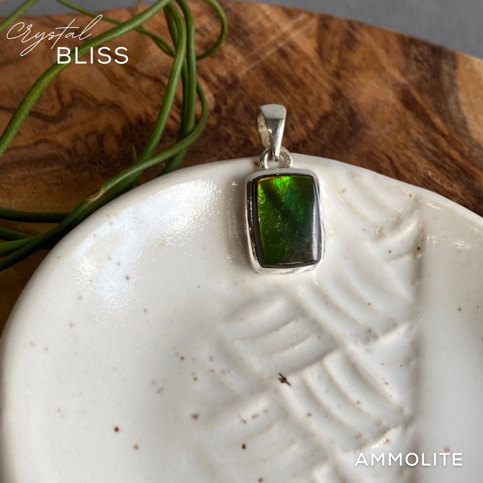 Thumbnail: Ammolite Pendant #8