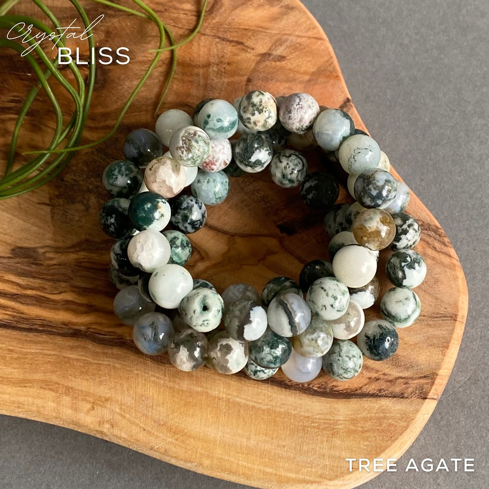 Thumbnail: Tree Agate  Bracelet