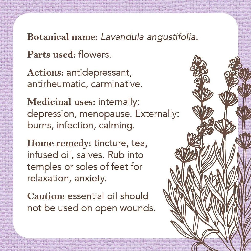 Thumbnail: Apothecary Flashcards Deck - by Nicola McIntosh