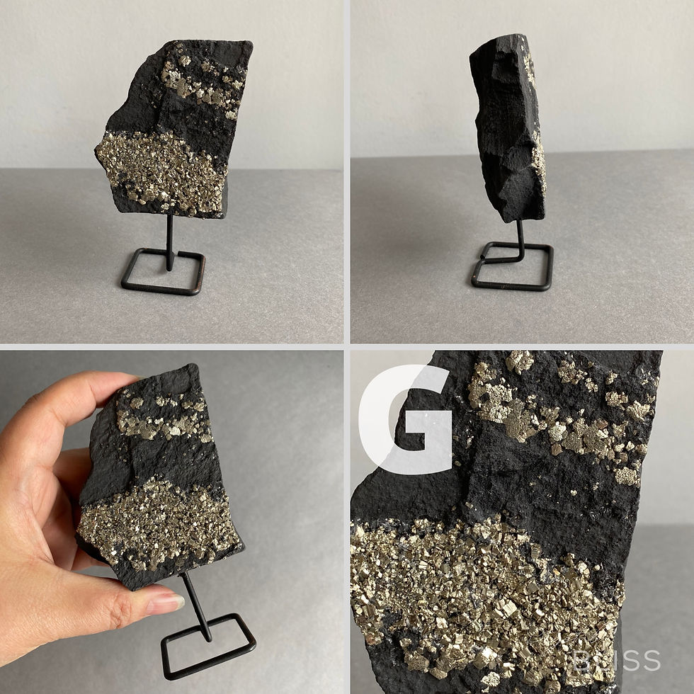 Thumbnail: Pyrite on Basalt on Stand - E,F,G,H