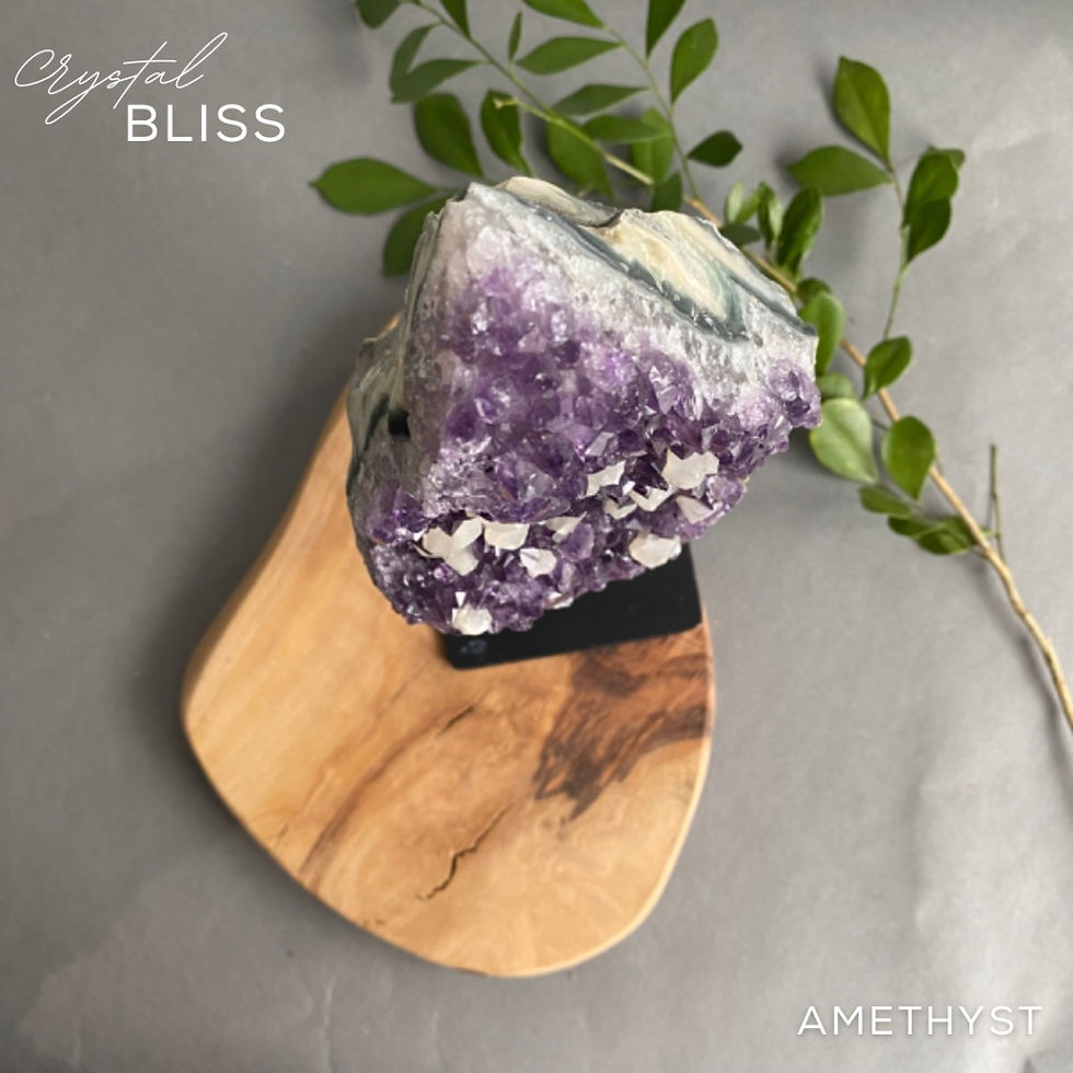 Thumbnail: Amethyst Cluster on Stand #17