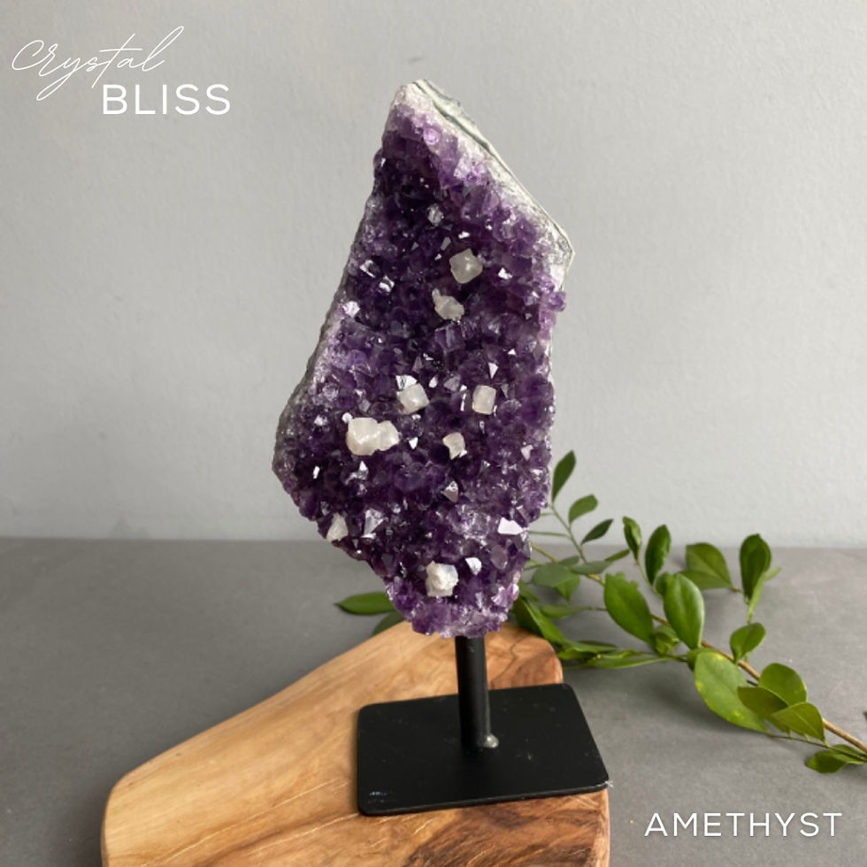 Thumbnail: Amethyst Cluster on Stand #16