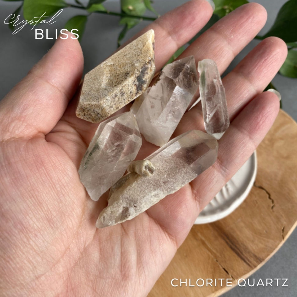 Thumbnail: Chlorite Quartz Bundle #20