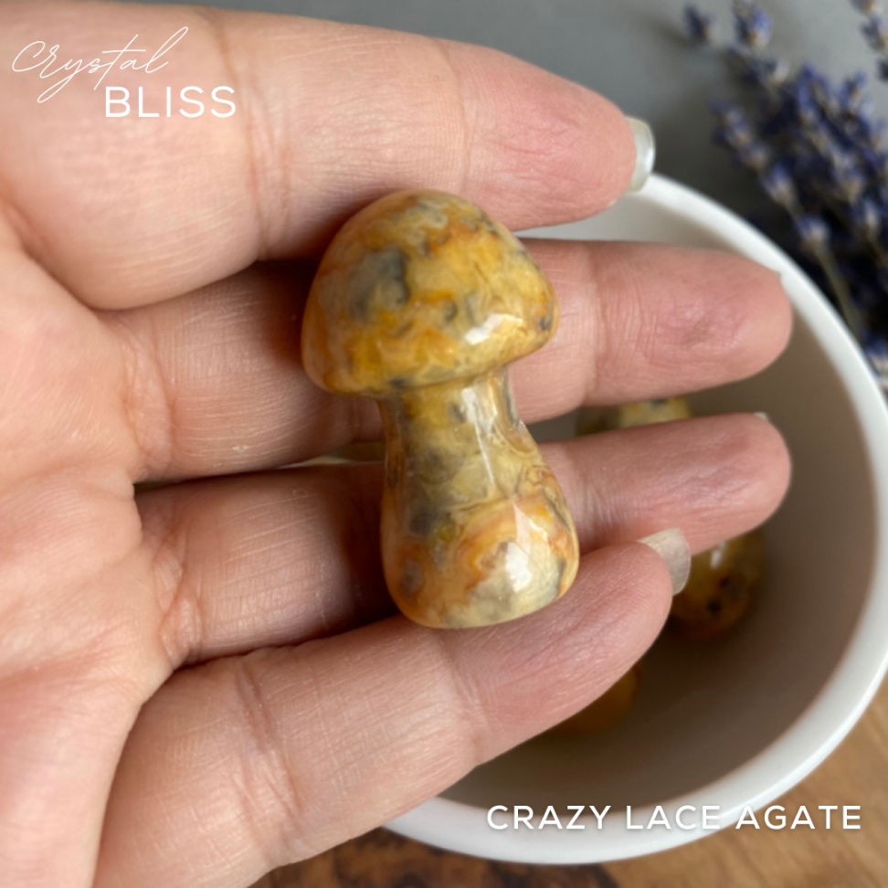 Thumbnail: Crazy Lace Agate Mushroom
