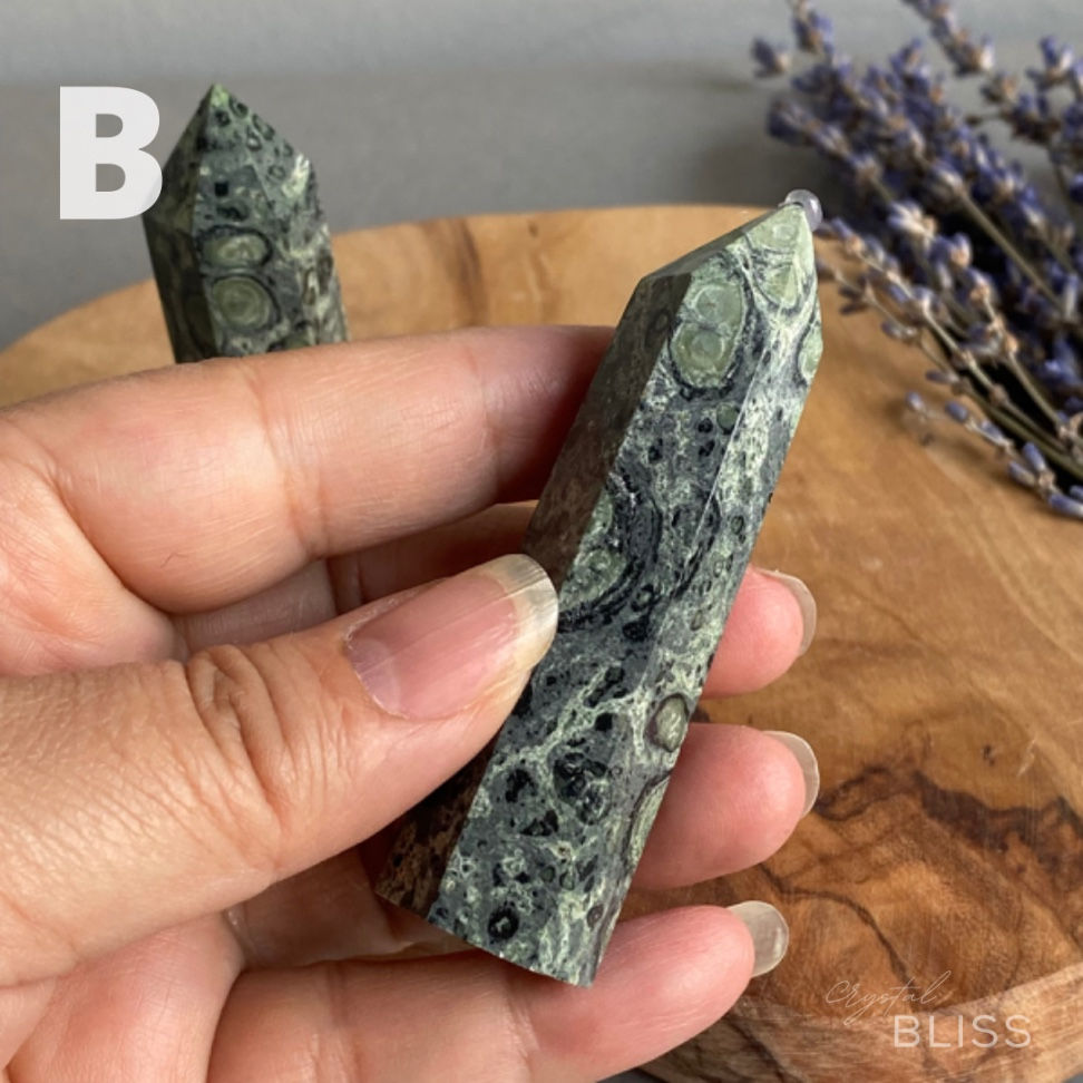 Thumbnail: Kambaba Jasper Point