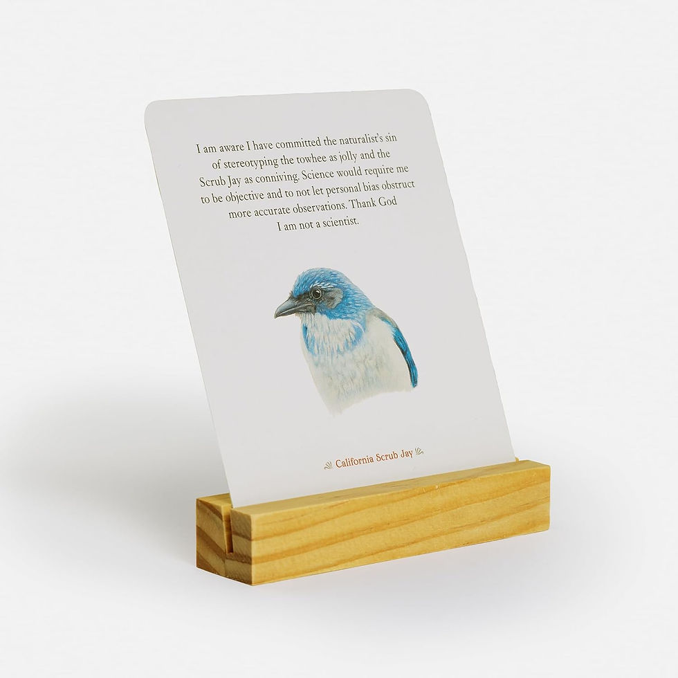 Thumbnail: Backyard Bird Deck Affirmation Oracle Deck by Tan, Amy