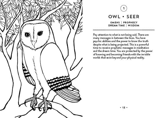 Thumbnail: Nature Nurture Oracle Deck - by Marcella Kroll