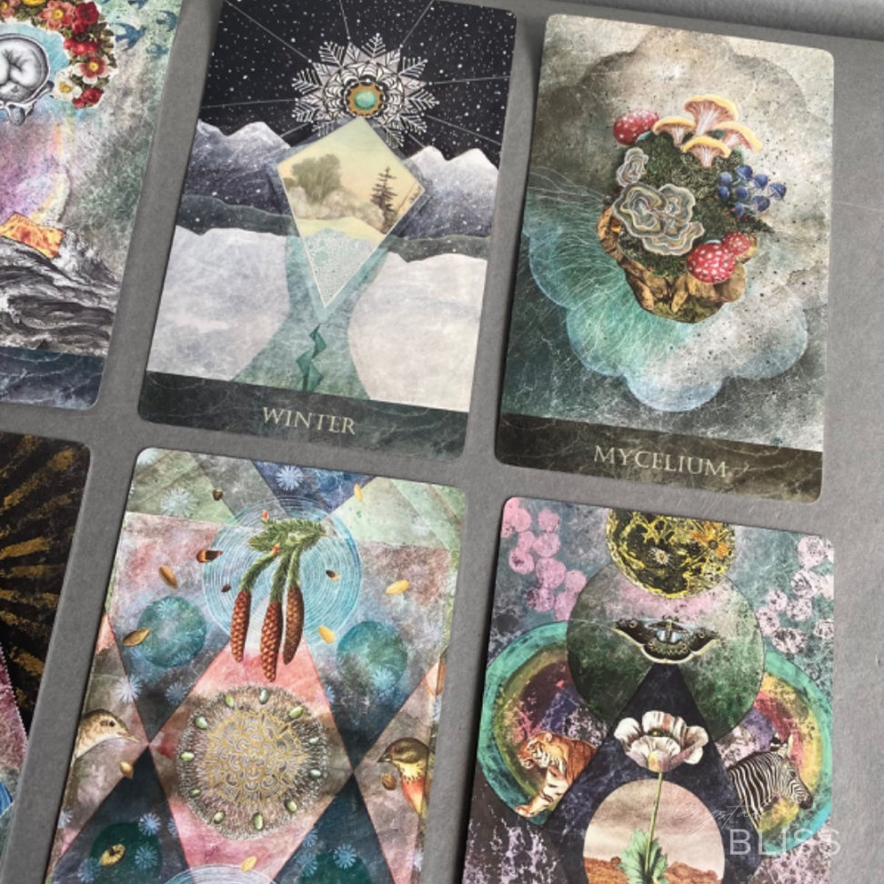 Thumbnail: Faceted Garden Oracle - Claire Mack - INDIE Deck