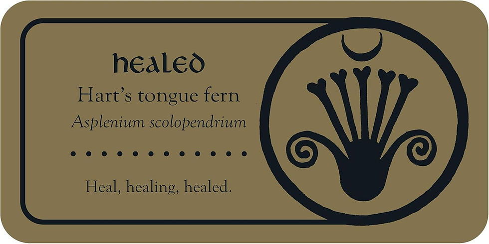 Thumbnail: Medieval Herb Sigils Cards Mini Affirmation Oracle Deck - by Priestess Moon