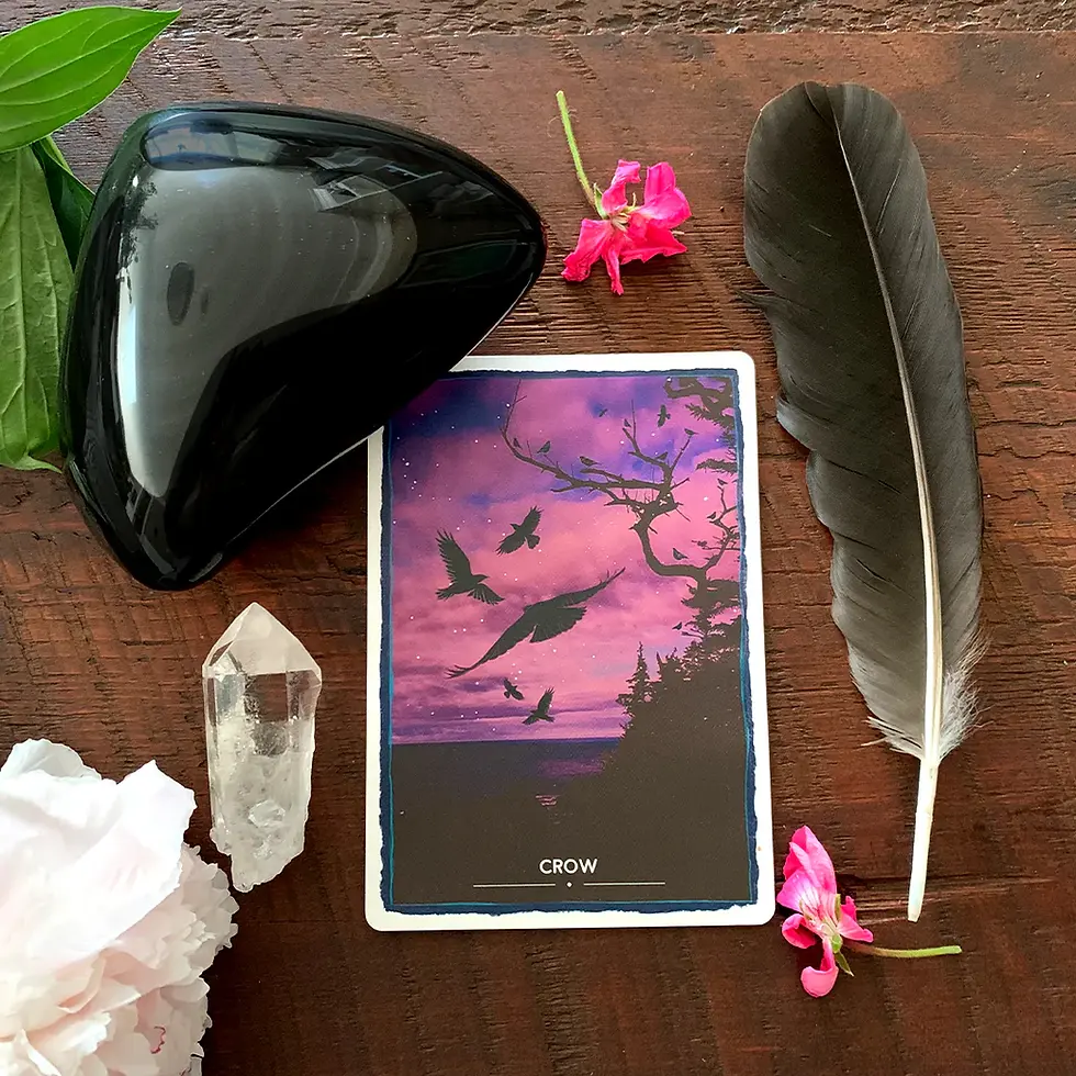 Thumbnail: Animal Magic Oracle Card Deck - by Sanchez, Esther